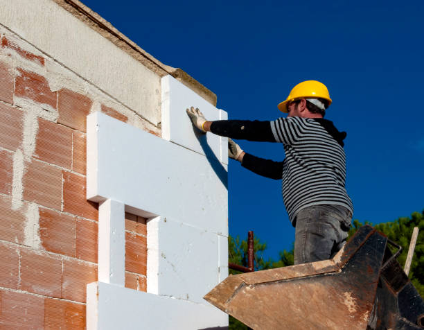 Best Insulation Maintenance and Repair in Zephyrhills, FL