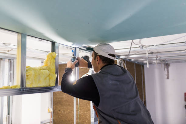 Best Geographic-Specific Insulation Services in Zephyrhills, FL