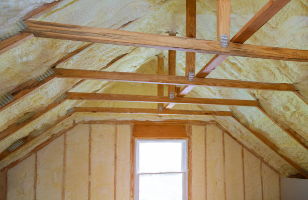 Best Insulation for Specific Applications in Zephyrhills, FL