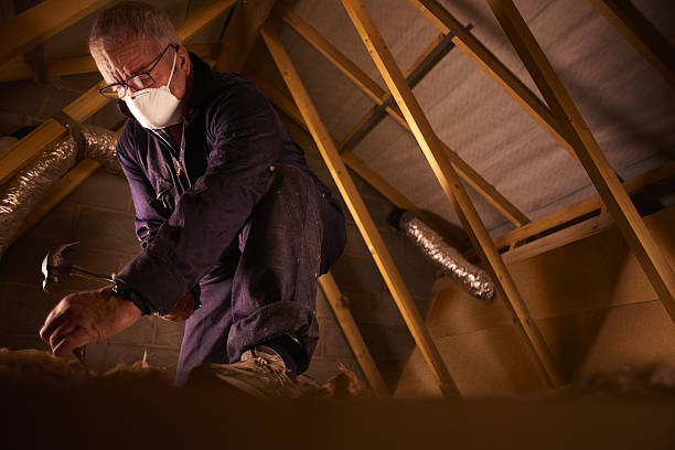 Best Eco-Friendly Insulation in Zephyrhills, FL