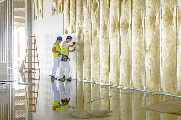 Types of Insulation We Offer in Zephyrhills, FL